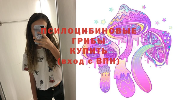 дмт Рославль